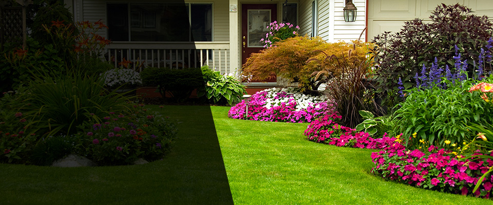Nogales Landscapers