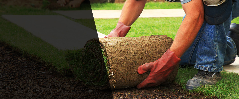 Nogales Landscapers